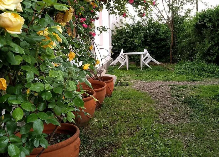 Avec Terrasse En Plein Centre *